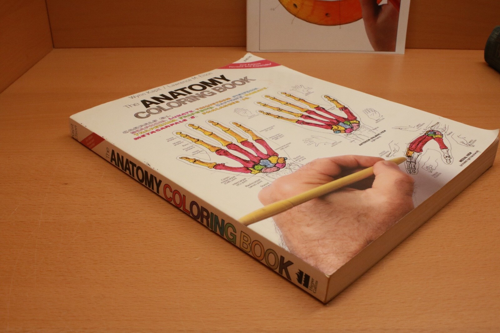 The Anatomy Coloring Book By W. Kapit, L. M. Elson & The Biology C.B. By Griffin