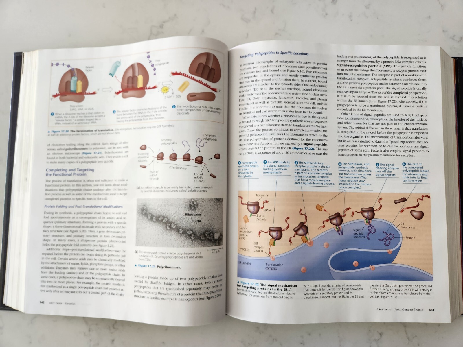 Campbell Biology 9th Edition