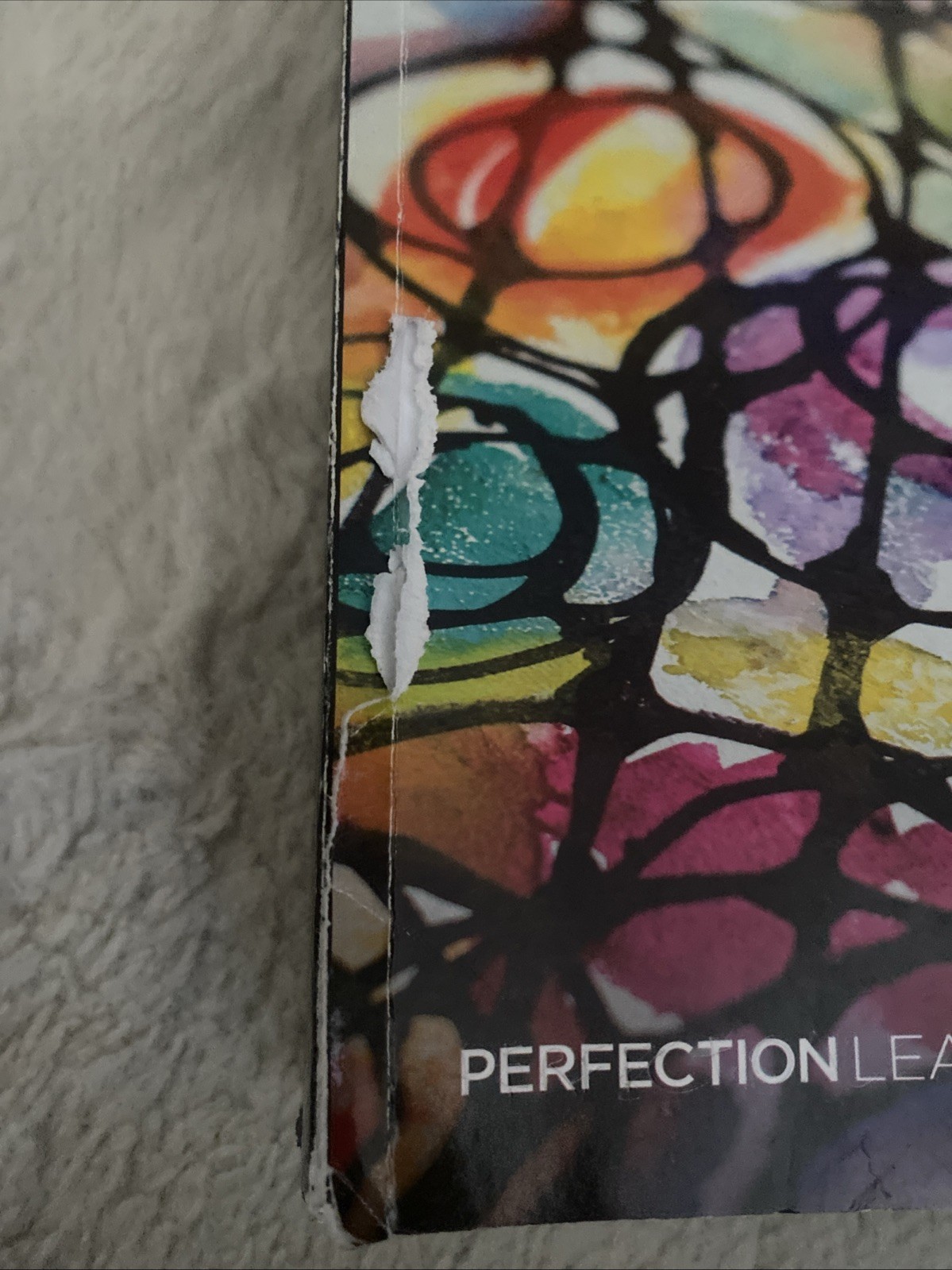 Advanced Placement Psychology, 3rd Edition (AMSCO PUBLICATION)