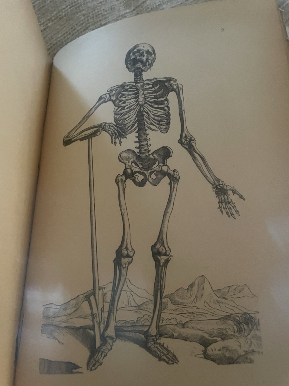 Andreas Vesalius Bruxellensis by Moritz Roth (German) Hardcover Book 1892