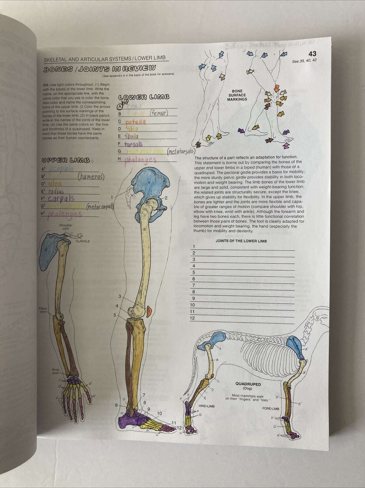 The Anatomy Coloring Book By Wynn Kapit & Elson 3rd Third Edition Paperback