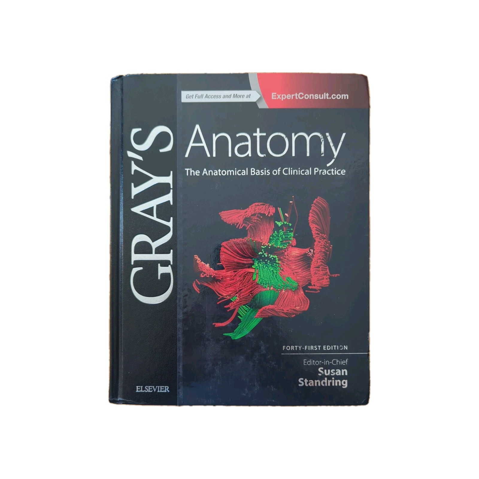Gray’s Anatomy Ser.: Gray’s Anatomy : The Anatomical Basis of Clinical Practice