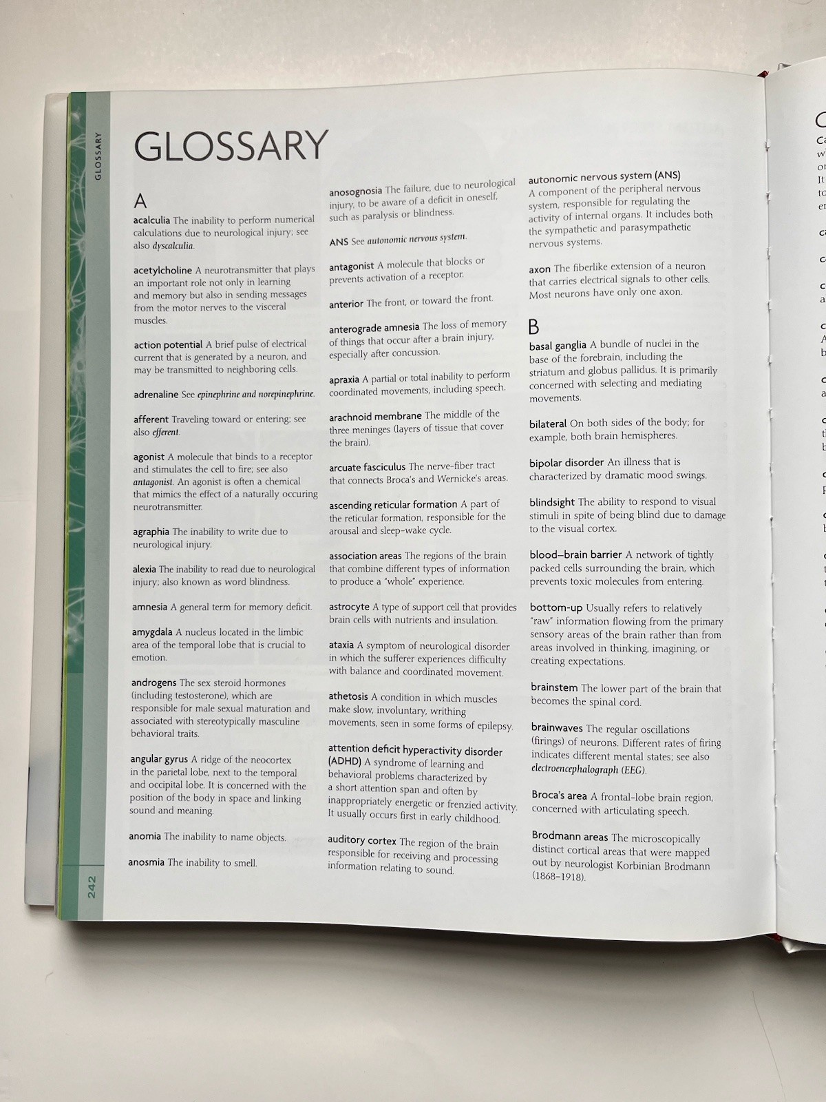 Human Brain Book An Illustrated Guide to Its Structure, Function, and Disorders