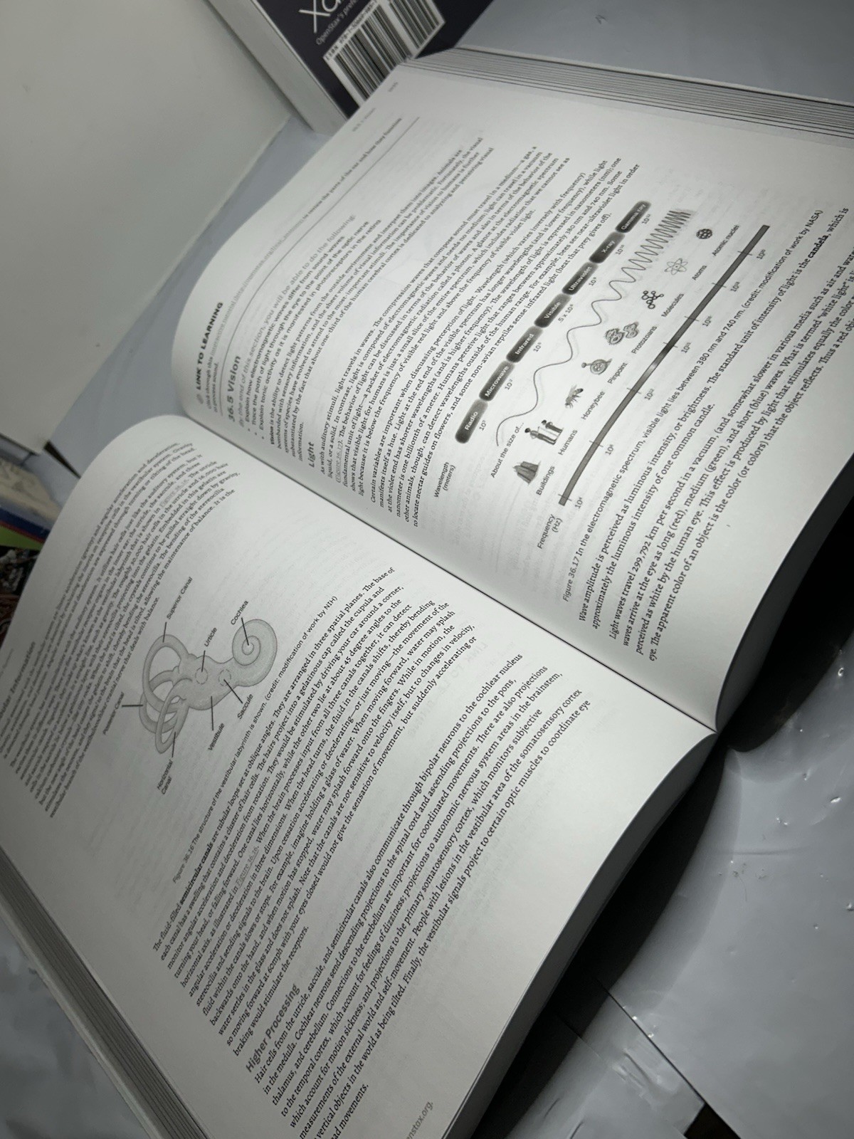 Open Stax Biology 2E Parts 1 2 Xanadu Publishers