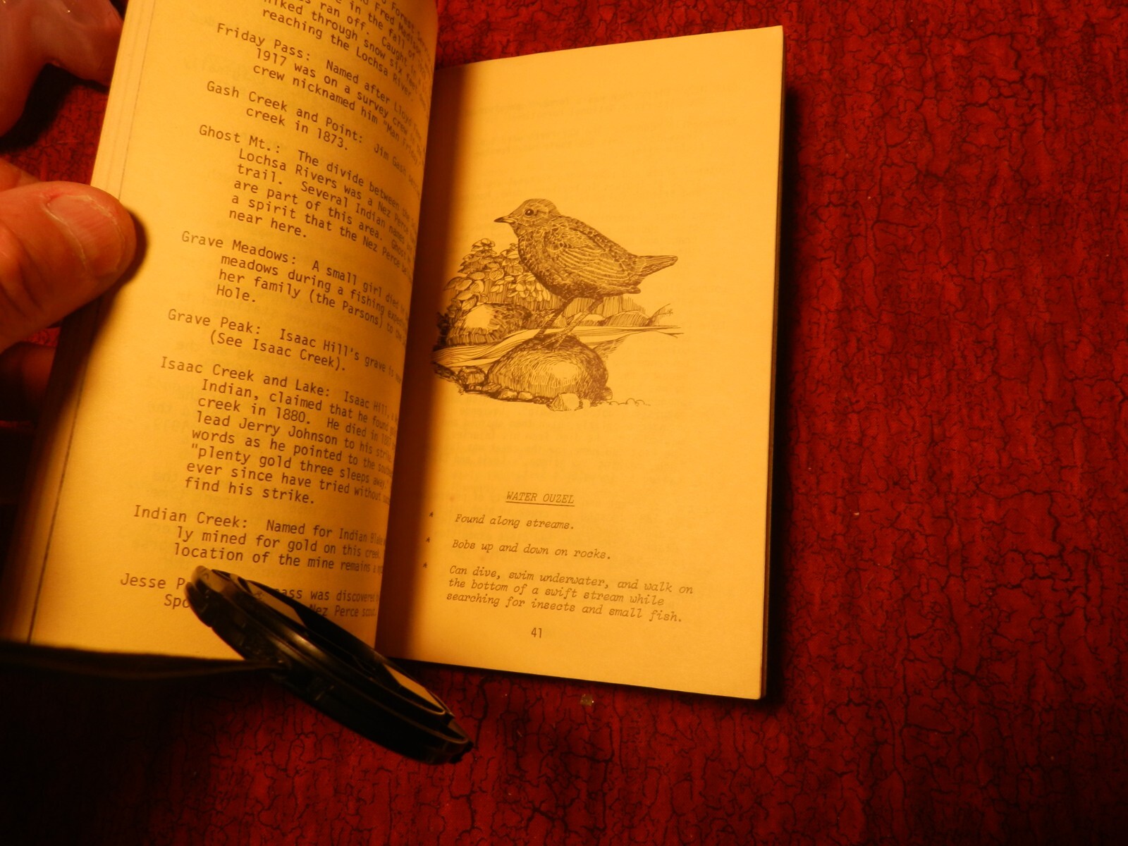 Vintage book Selway-Bitterroot wilderness primer 1964 89 pages