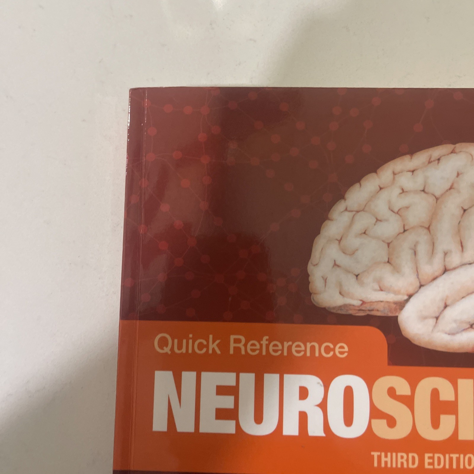 Third edition of Quick Reference Neuroscience Rehabilitation Professionals New