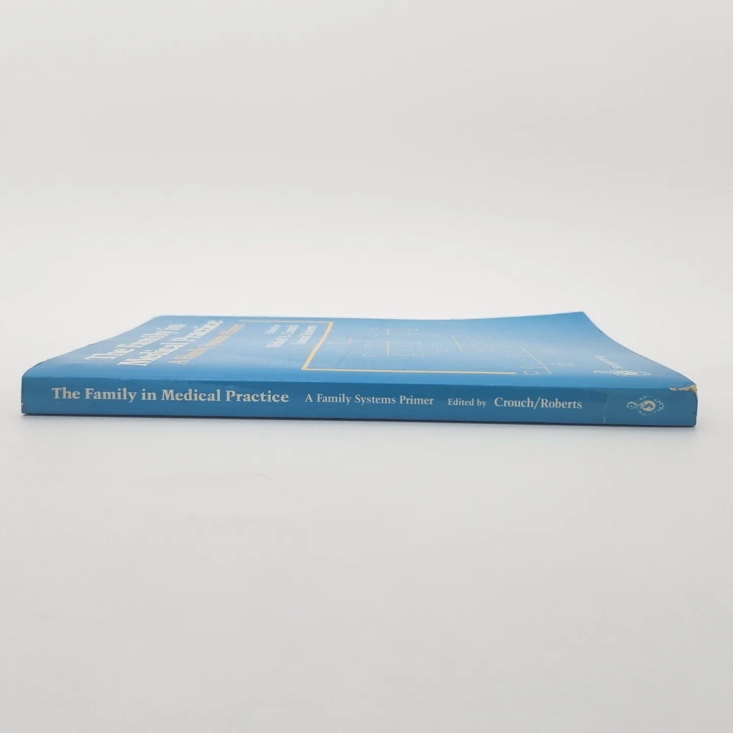 The Family in Medical Practice By Leonard Roberts Paperback 1986 Book
