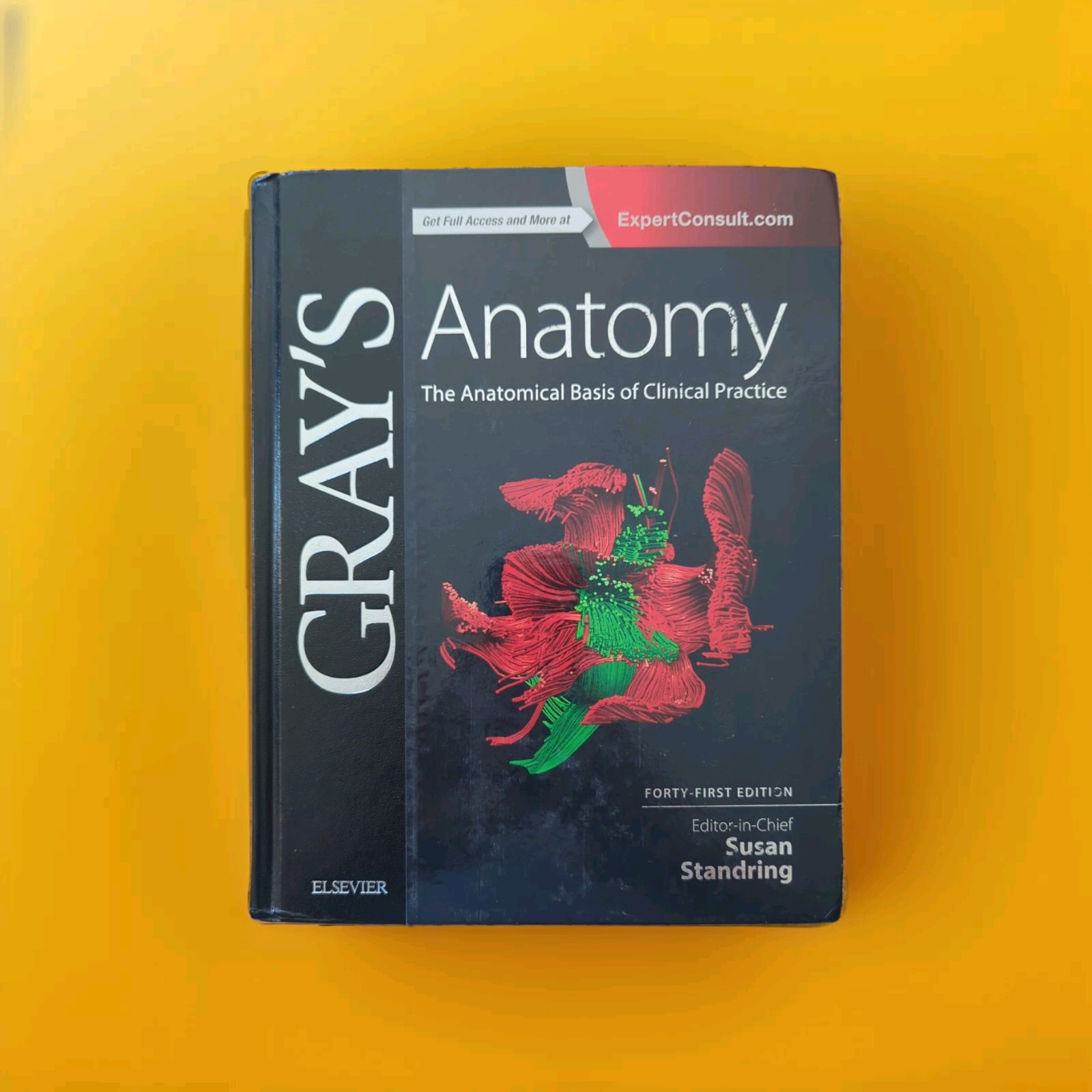 Gray’s Anatomy Ser.: Gray’s Anatomy : The Anatomical Basis of Clinical Practice