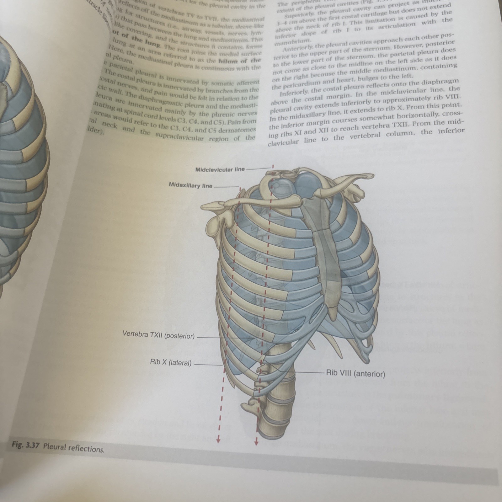 Gray’s Anatomy Ser.: Gray’s Anatomy for Students : With Student Consult…