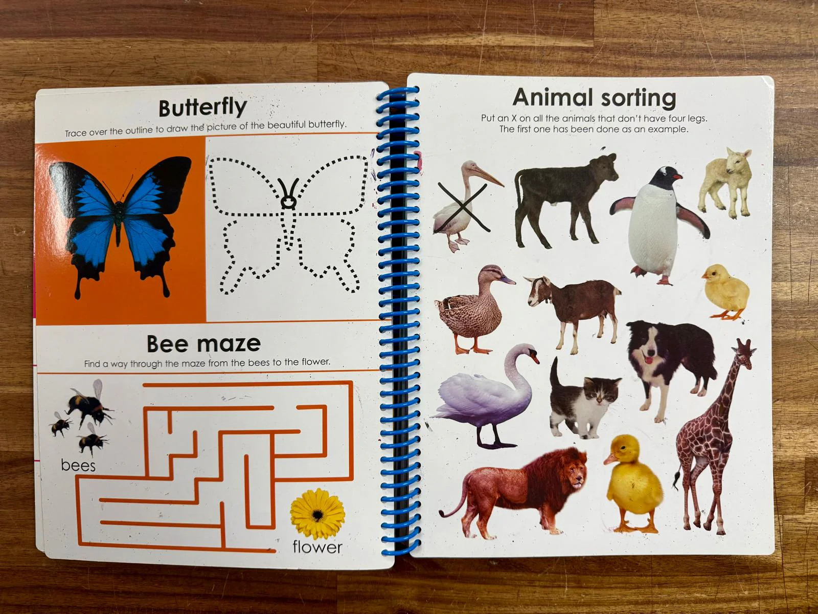 Wipe Clean Giant Activity Workbook – Roger Priddy