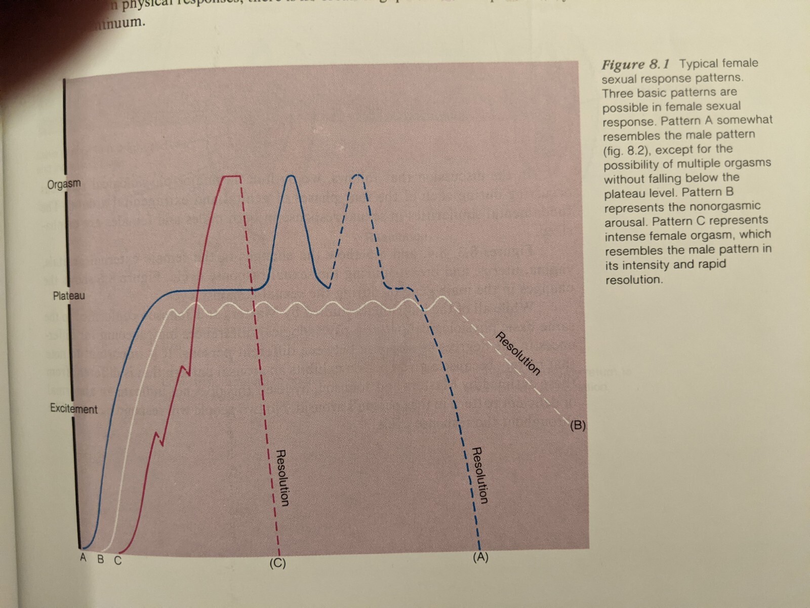 Byer et al, DIMENSIONS OF HUMAN SEXUALITY, 1988, PB, Second Edition, 656 Pages