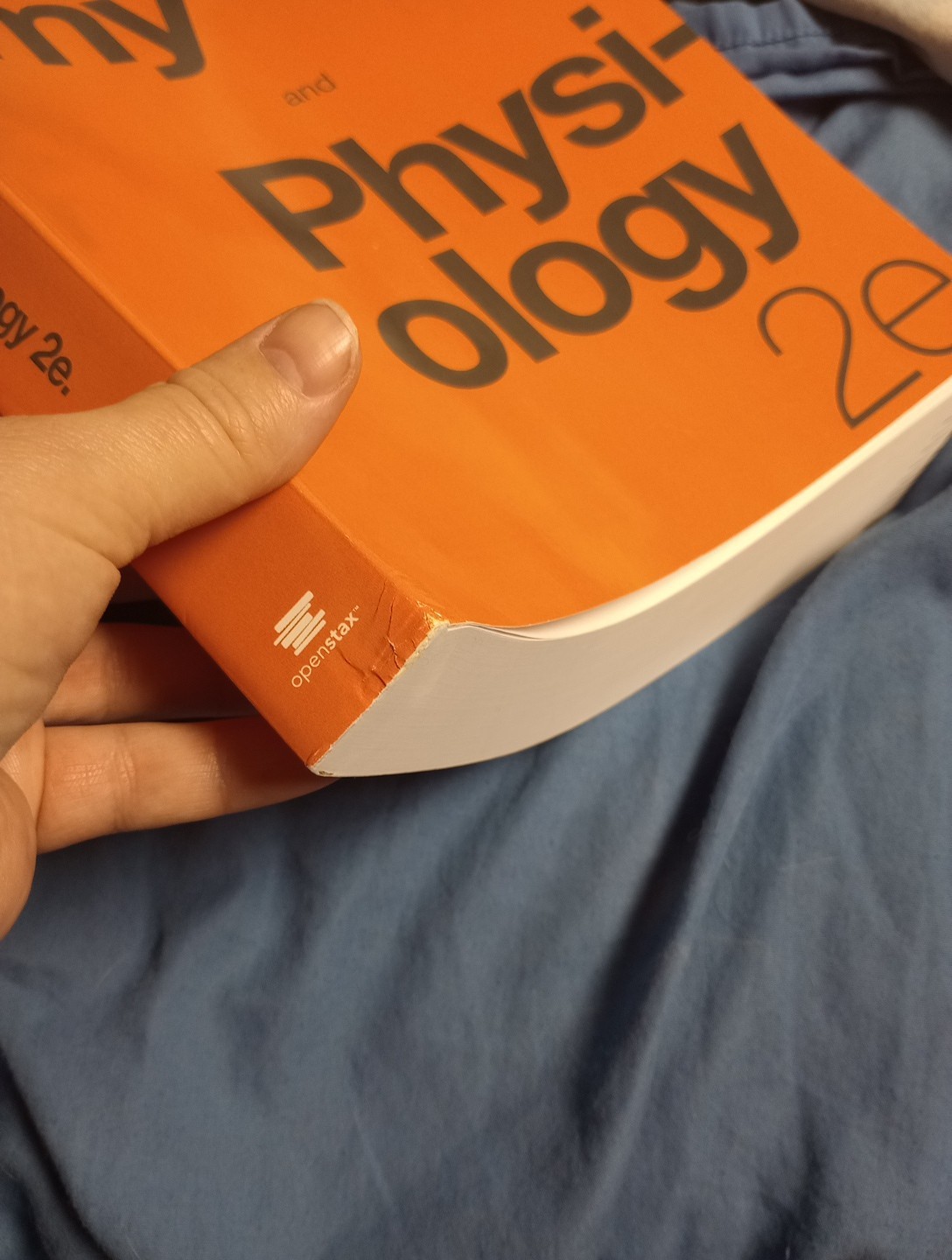 Anatomy & Physiology 2e Books 1 & 2 Set of 2 Textbooks Paper Back Like New Cond