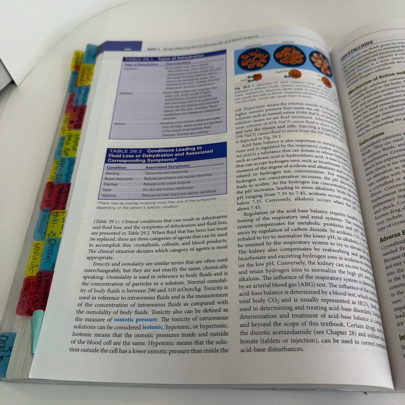 Pharmacology & the Nursing Process 10th Anniversary Edition With Access Code PB