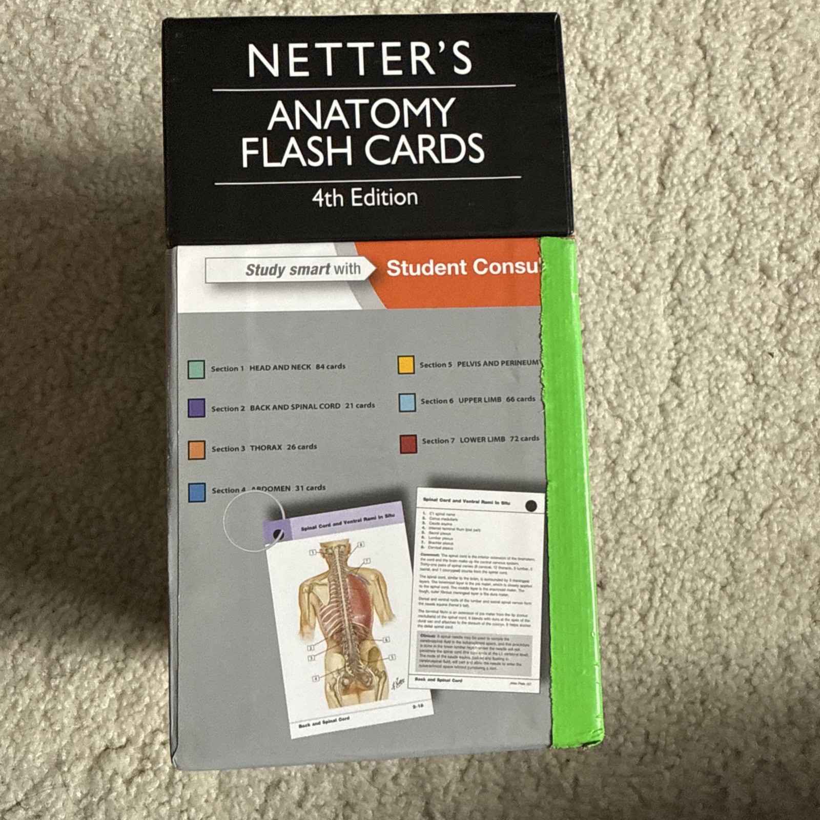 Netter Basic Science Ser.: Netter’s Anatomy Flash Cards, 4th Edition. Used