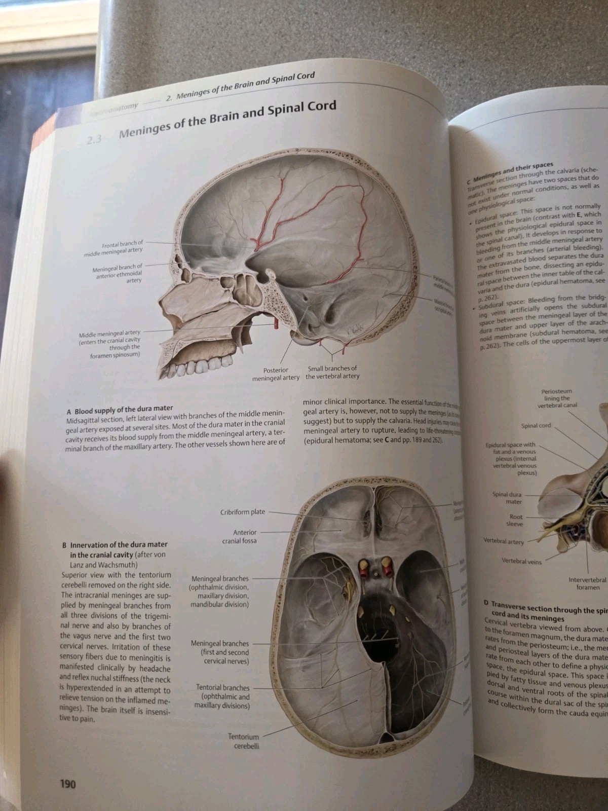 Thieme Atlas of Anatomy Ser.: Head and Neuroanatomy by Erik Schulte, Lawrence…