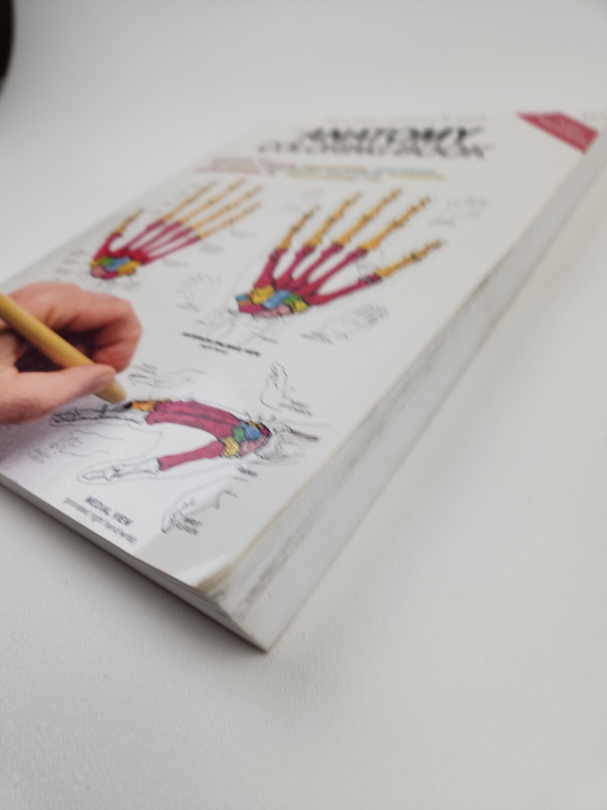 THE ANATOMY COLORING BOOK by Lawrence M. Elson and Wynn Kapit (1997 softcover)