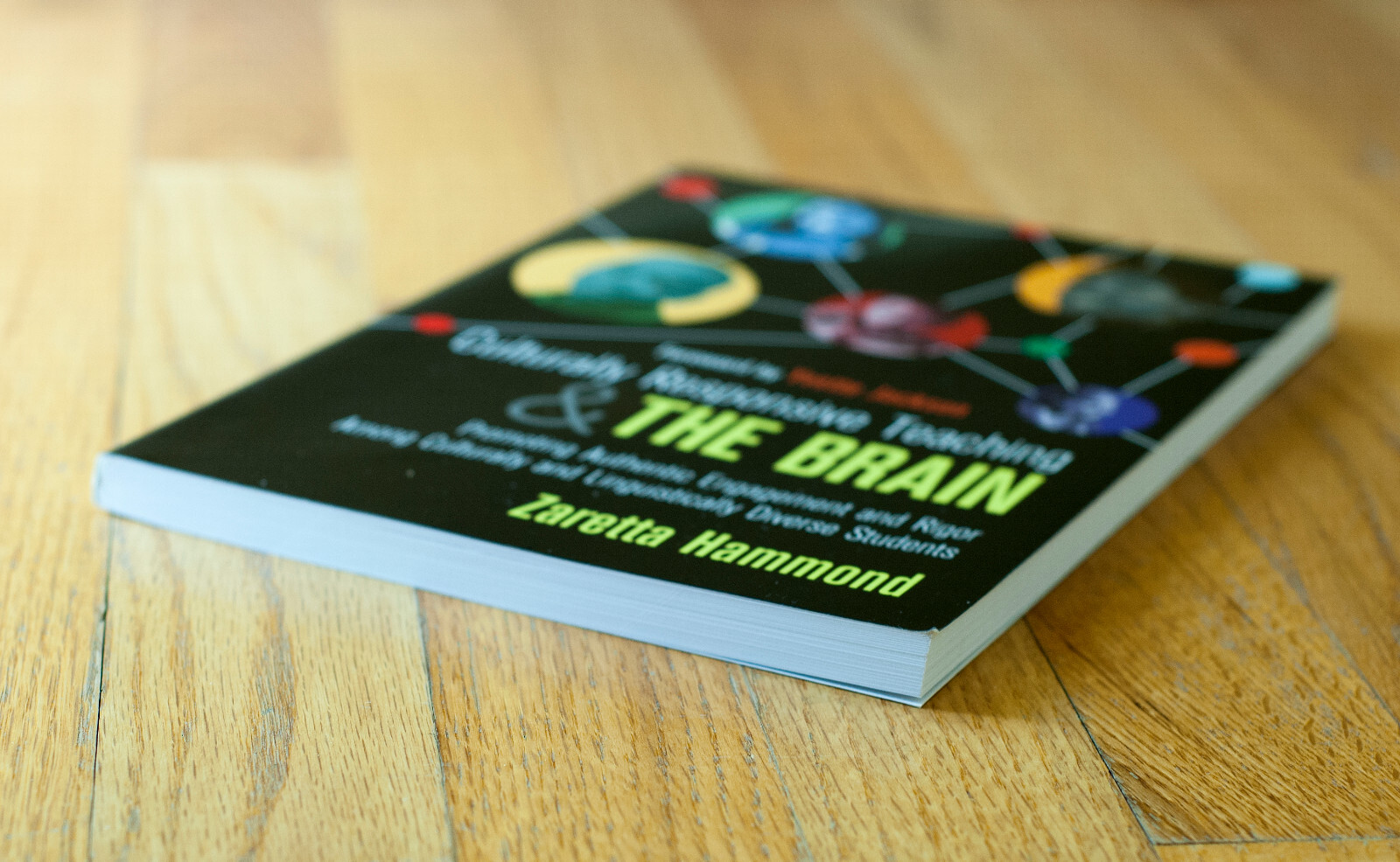 Culturally Responsive Teaching and The Brain