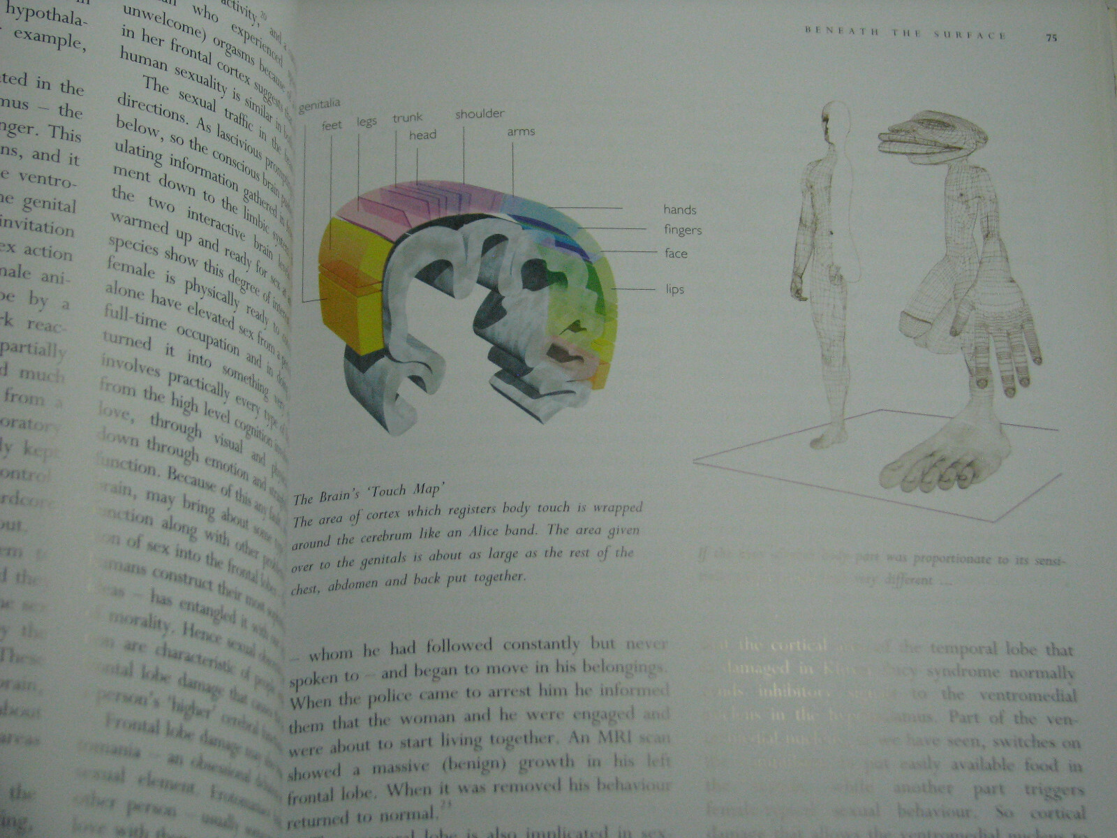 MAPPING THE MIND by Rita Carter 1999 Paperback Brain Science Structure Function