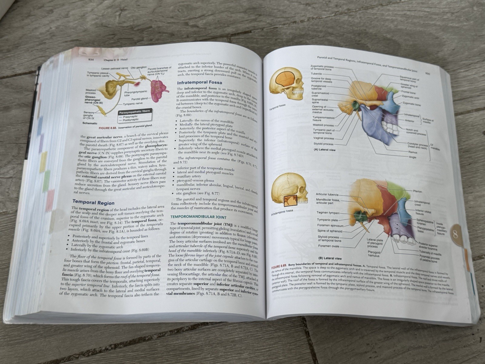 🍏 Moore’s Clinically Oriented Anatomy Ninth Edition 9th Arthur Dalley II PhD