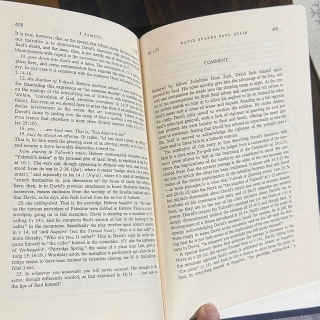 1 SAMUEL P. Kyle McCarter, Jr. The Anchor Bible Commentary Hardcover 1980
