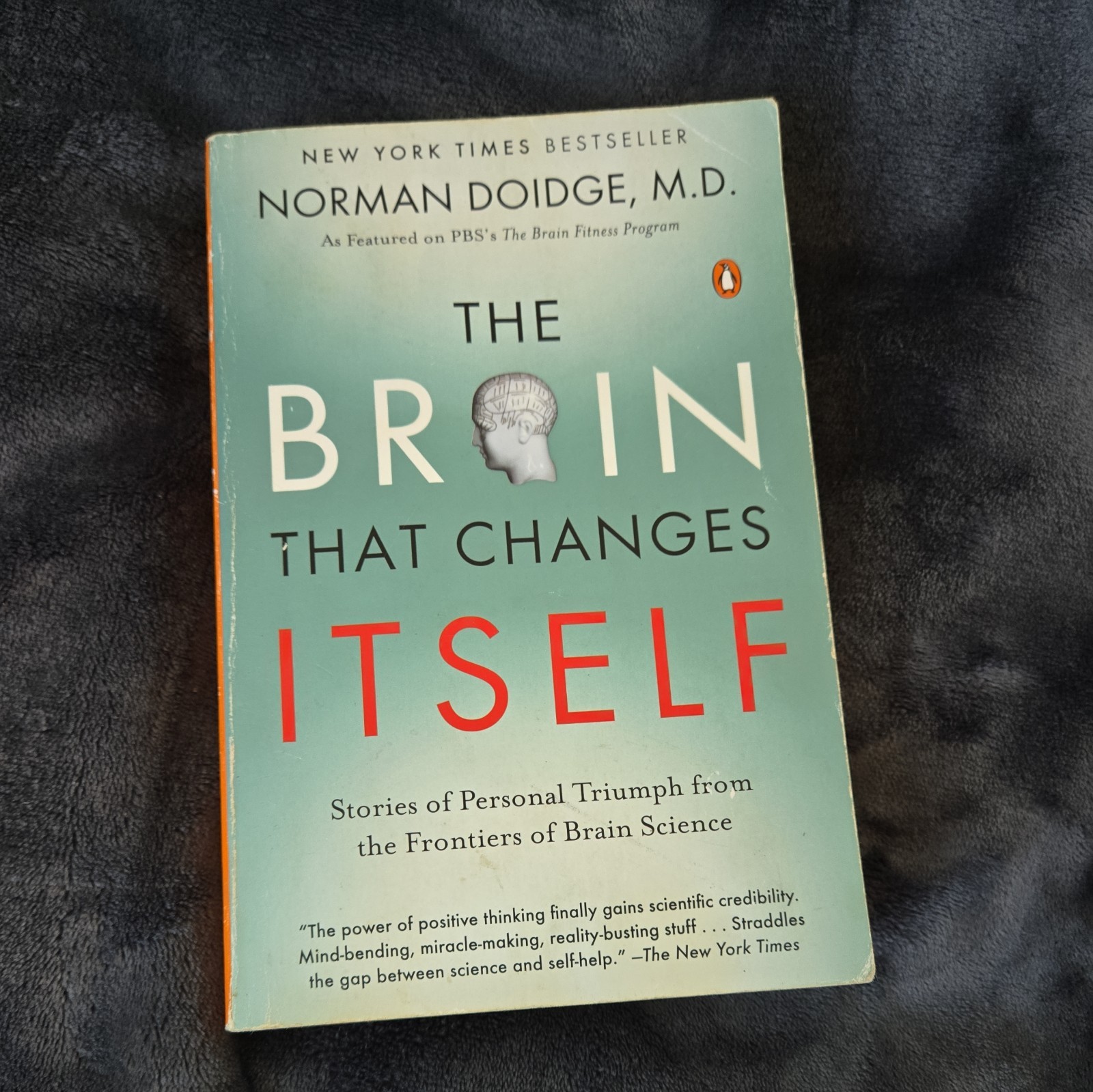 Brain That Changes Itself