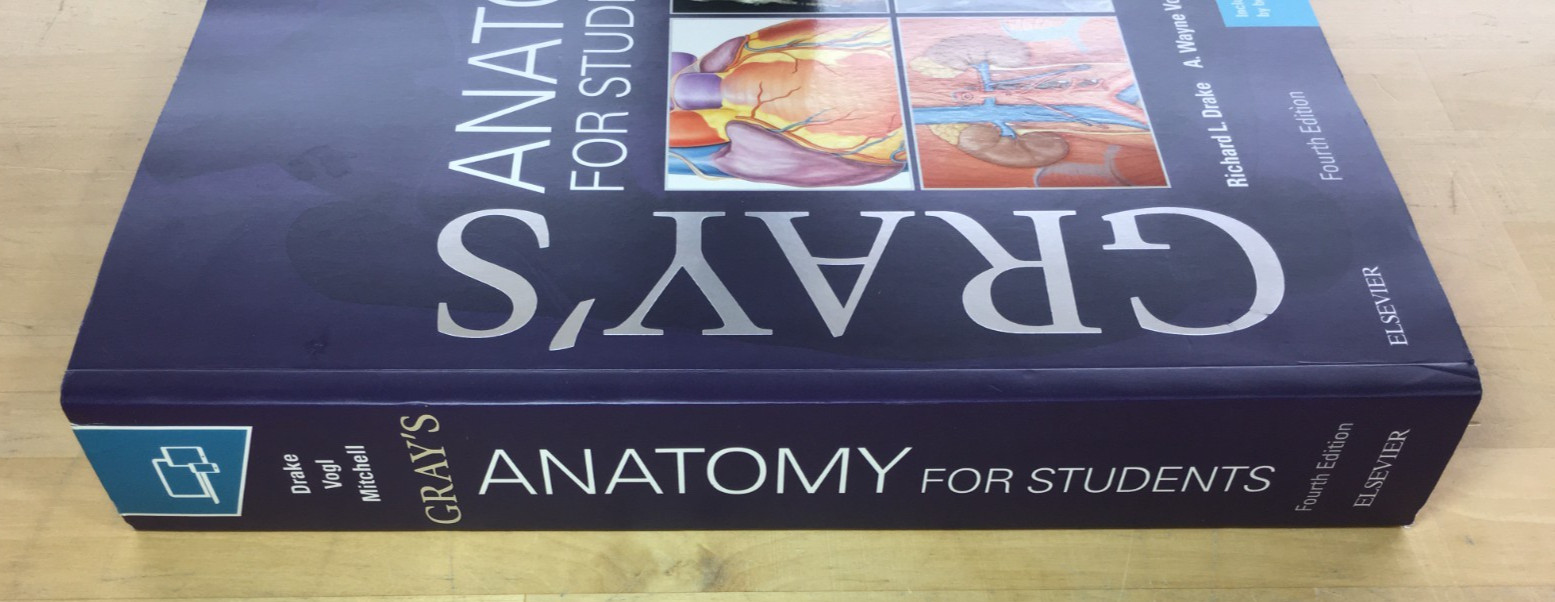 Gray’s Anatomy for Students 4th Edition by Drake, Vogl, and Mitchell – PB, Good