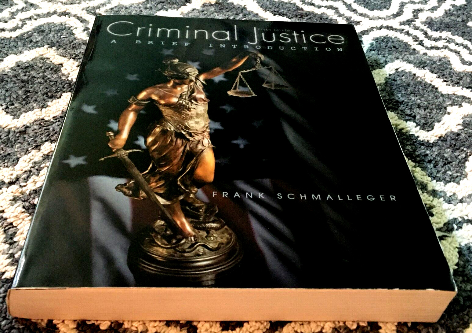 CRIMINAL JUSTICE A Brief Introduction FRANK SCHMALLEGER College PAPERBACK BOOK