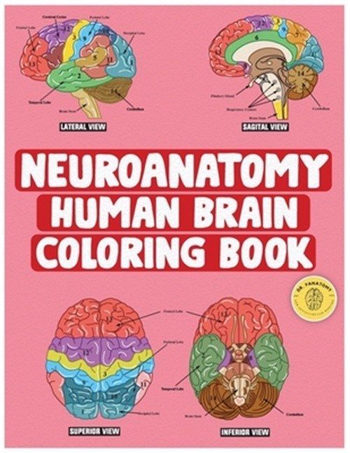 Neuroanatomy Human Brain Coloring Book: Neuroscience Coloring Book with MCQs ( M