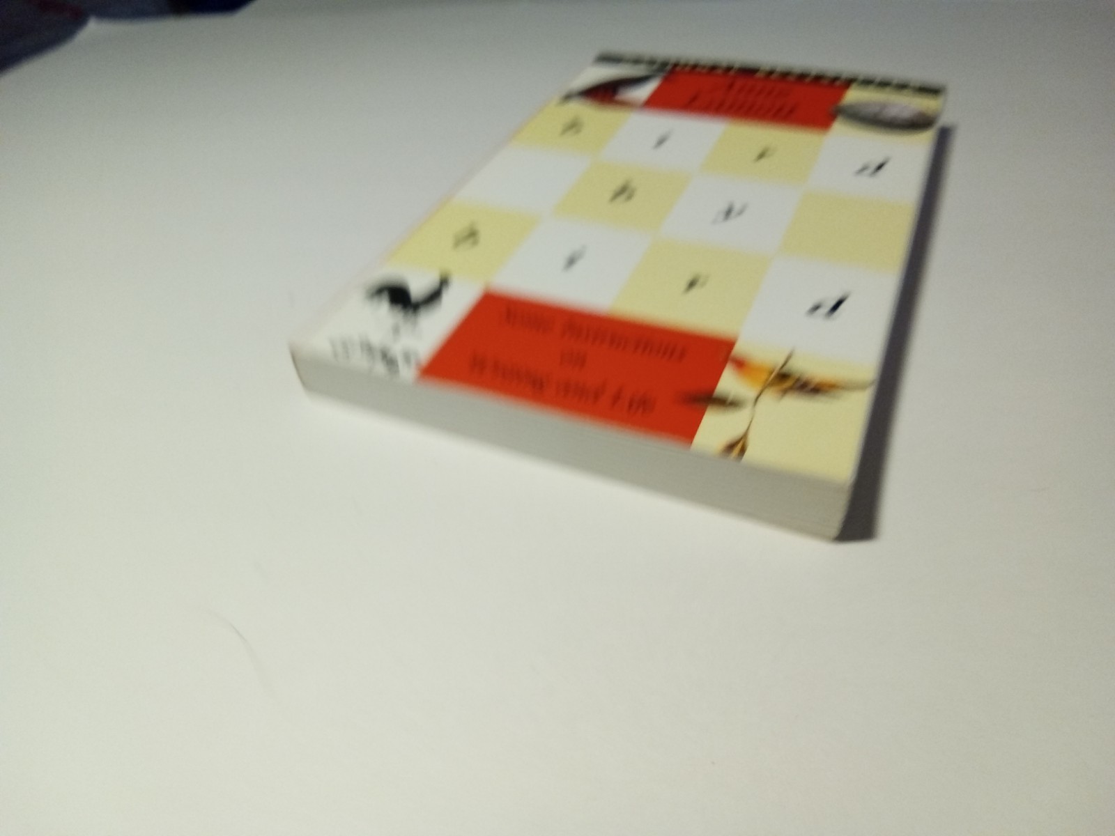 BIRD BY BIRD: Some Instructions on Writing and Life – Lamott, Anne PB Book
