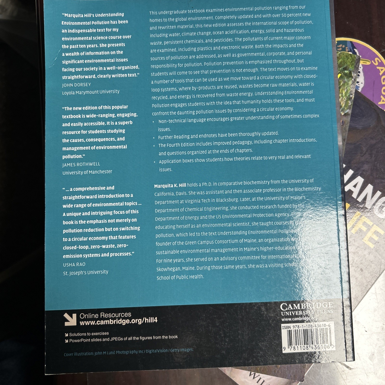 Understanding Environmental Pollution by Marquita K. Hill (2020)