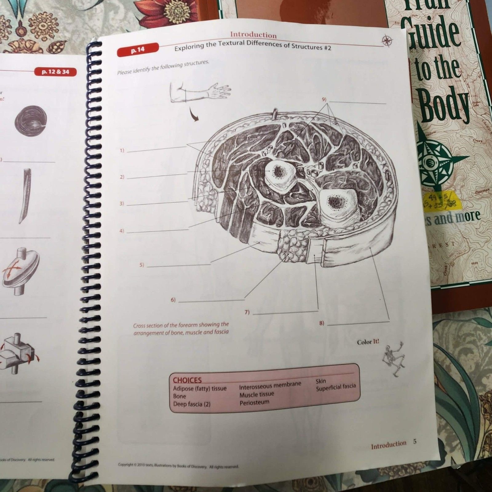 Trail Guide to the Body A&P Texbook+WorkBook & Coloring + Cards: WOW Lot of 5!!