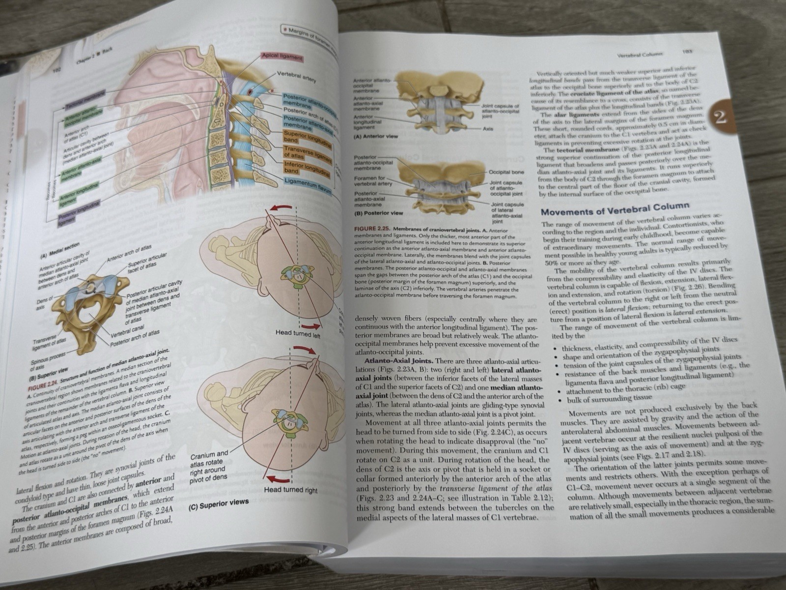 🍏 Moore’s Clinically Oriented Anatomy Ninth Edition 9th Arthur Dalley II PhD