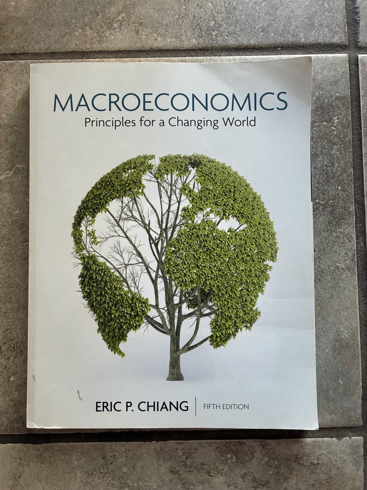 Macroeconomics: Principles for a Changing World by Chiang