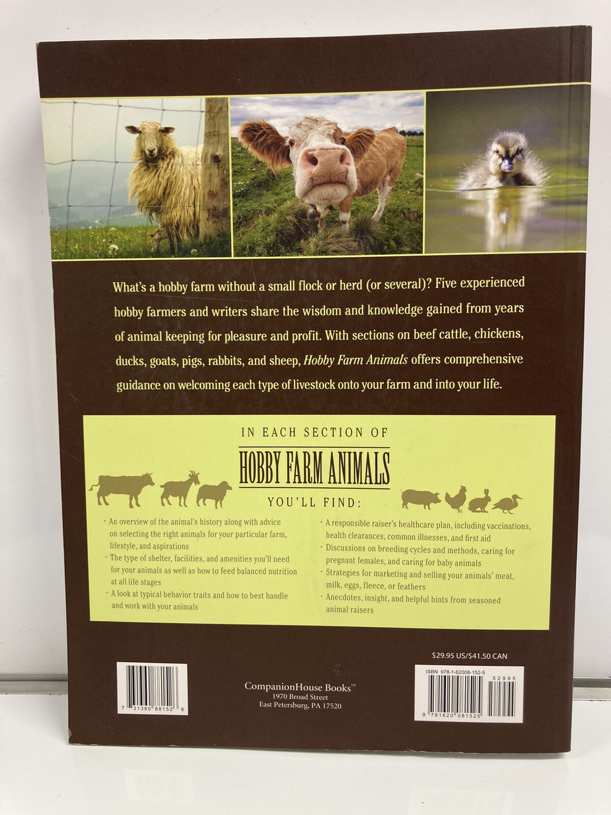 Hobby Farm Animals Guide To Raising Cattle Chickens Ducks Goats Pigs Sheep (9)