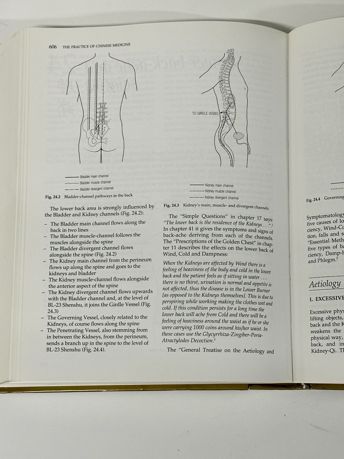 The Practice of Chinese Medicine Maciocia Acupuncture Herbs Hardcover