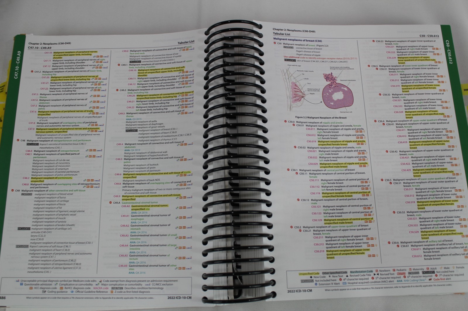 ICD-10-CM Expert 2022 for Providers Facilities (ICD-10-CM Complete Co)