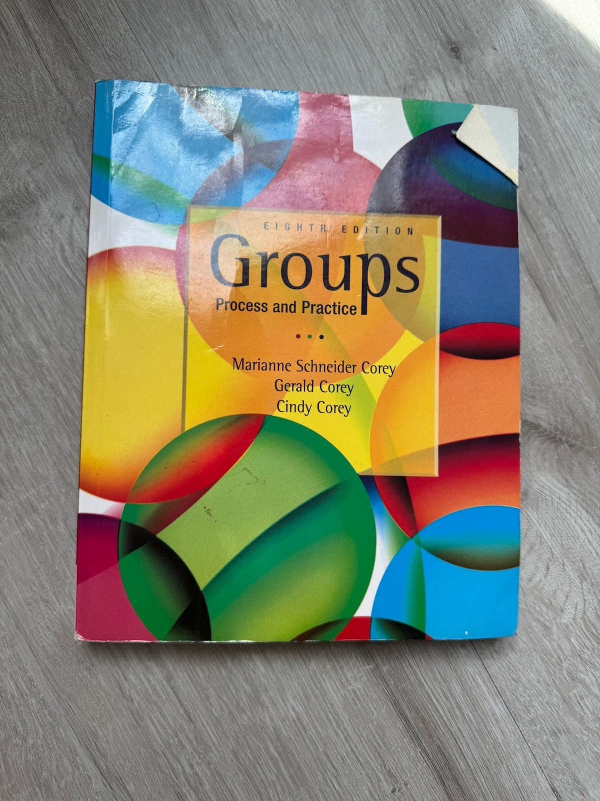 Groups: Process and Practice by Gerald Corey Marianne Schneider 8th Edition