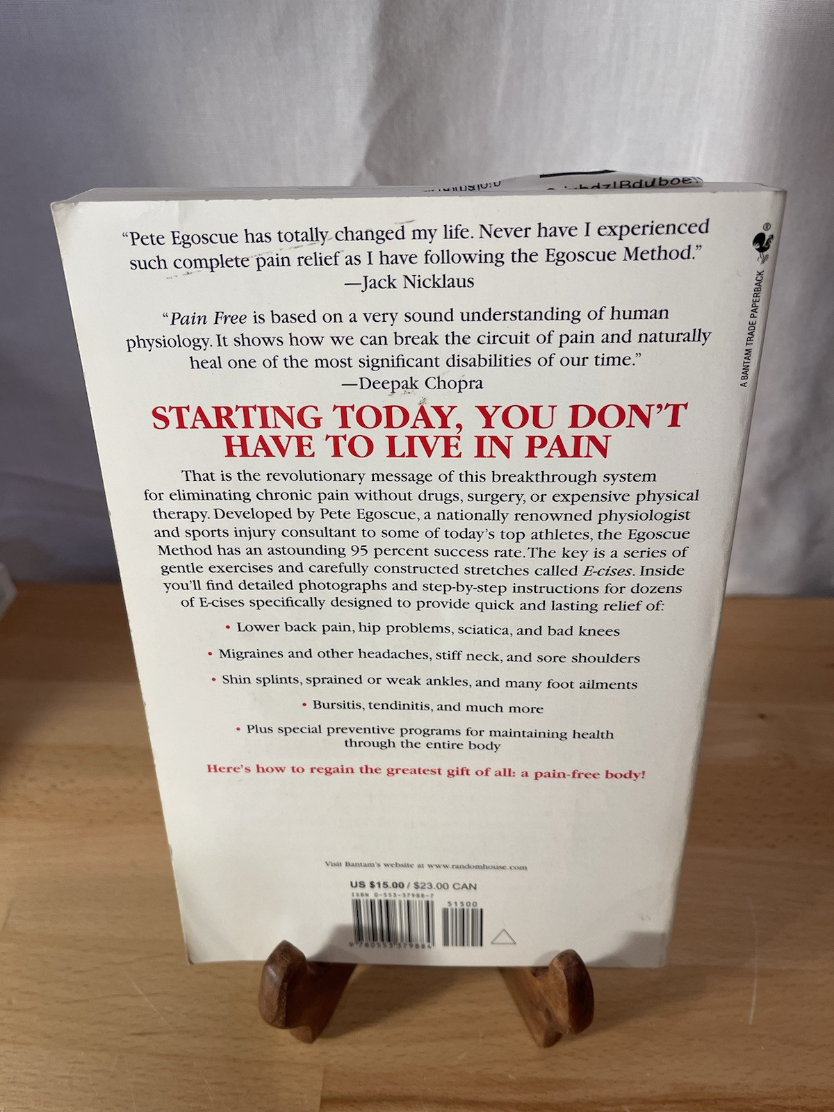 Pain Free A Revolutionary Method for Stopping Chronic Pain Paperback Book Used