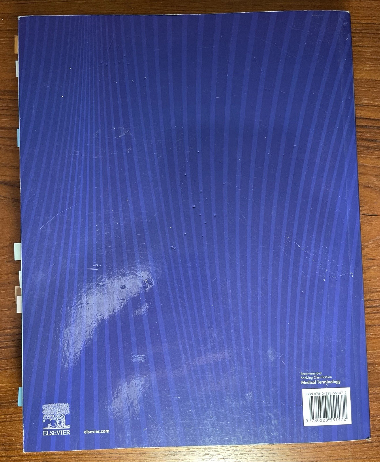 The Language of Medicine by Davi-Ellen Chabner TPB 12th Edition Illustrated