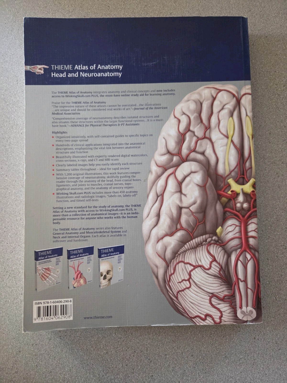 Thieme Atlas of Anatomy Ser.: Head and Neuroanatomy by Erik Schulte, Lawrence…