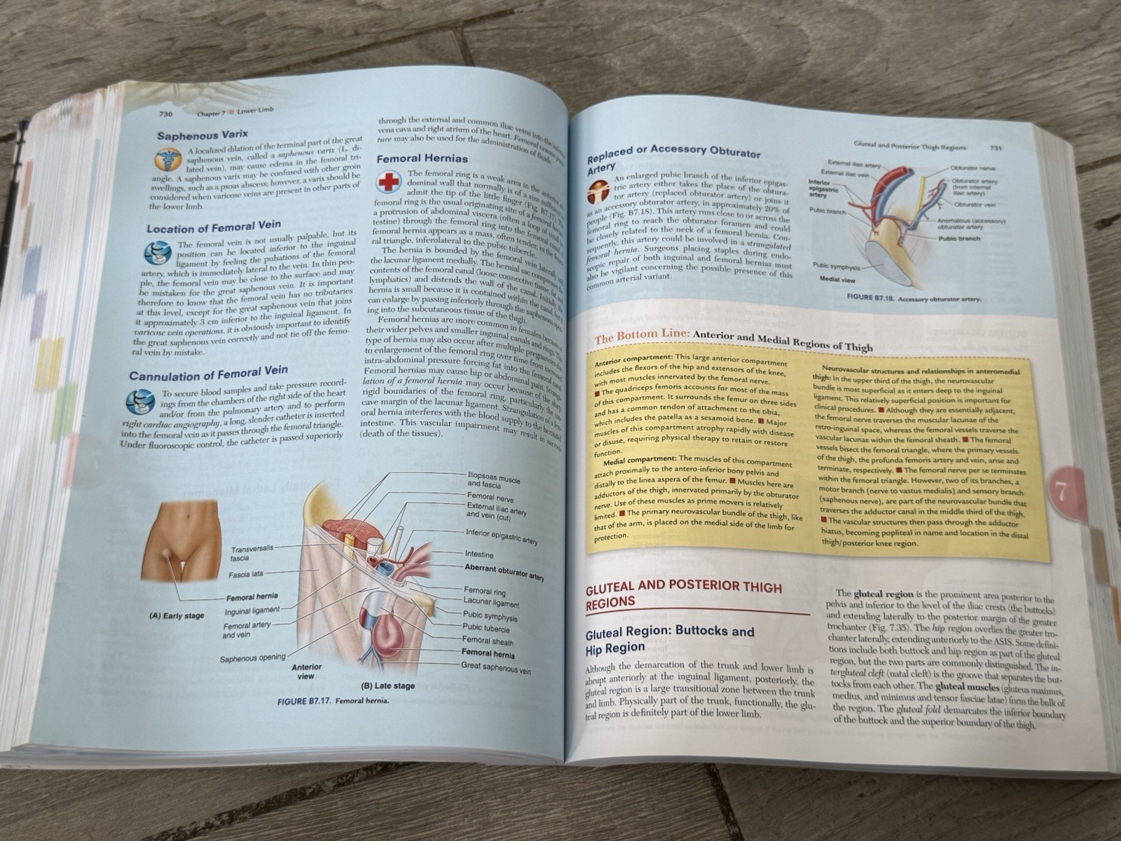 🍏 Moore’s Clinically Oriented Anatomy Ninth Edition 9th Arthur Dalley II PhD