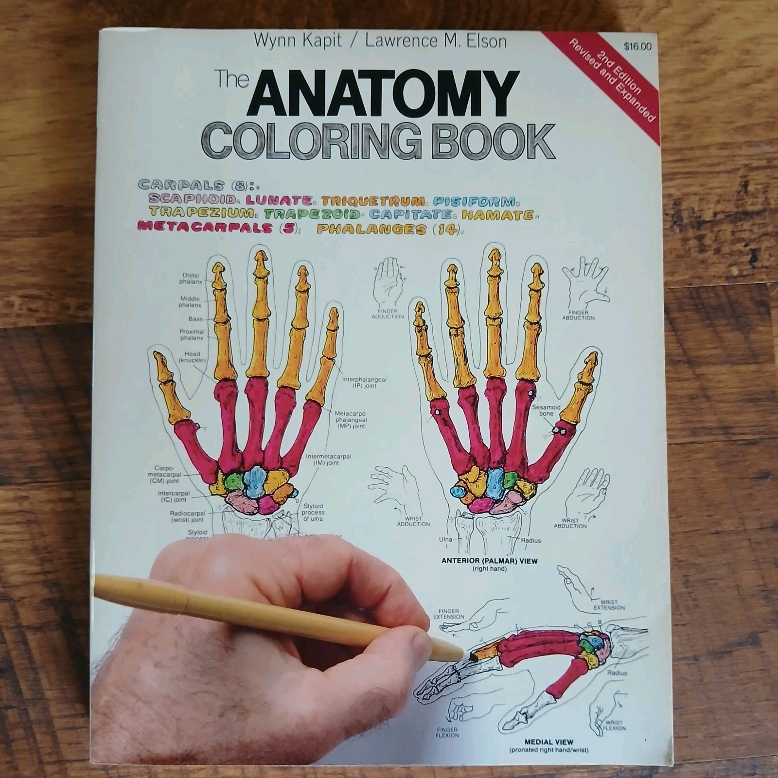 Lot Of 3 Science Coloring Books Biology Anatomy Zoology Vintage