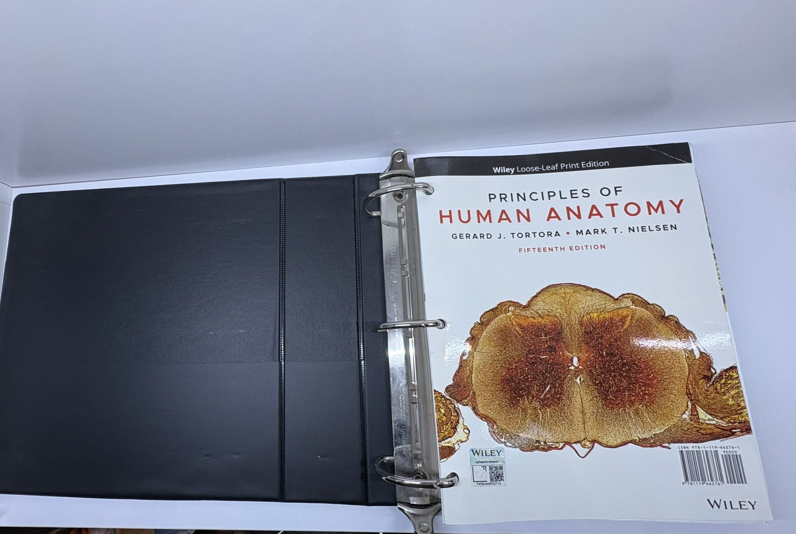Principles Of Human Anatomy 15th Edition Loose-Leaf Binder By Tortora & Nielsen