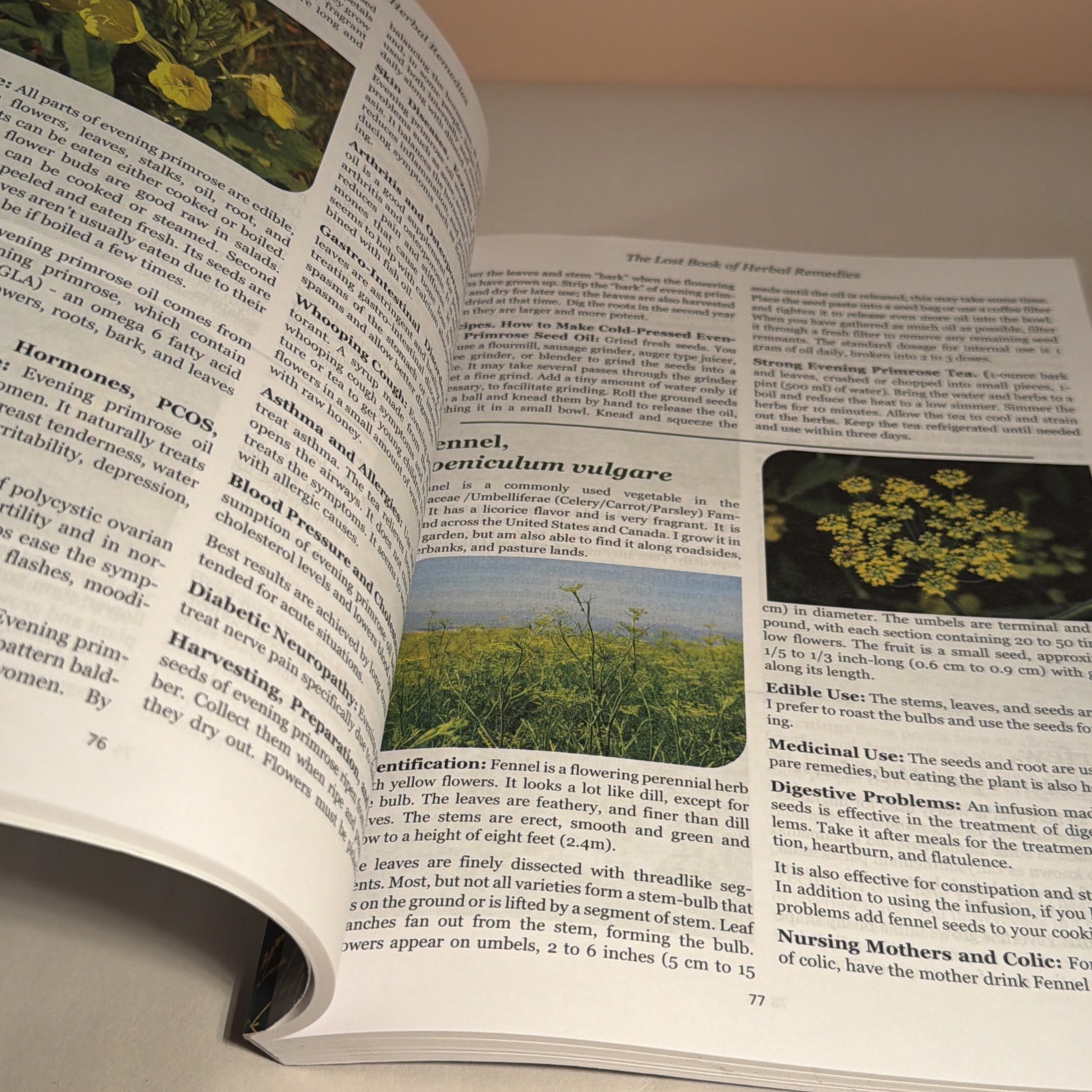 The Lost Book of Herbal Remedies (paperback with color pictures)