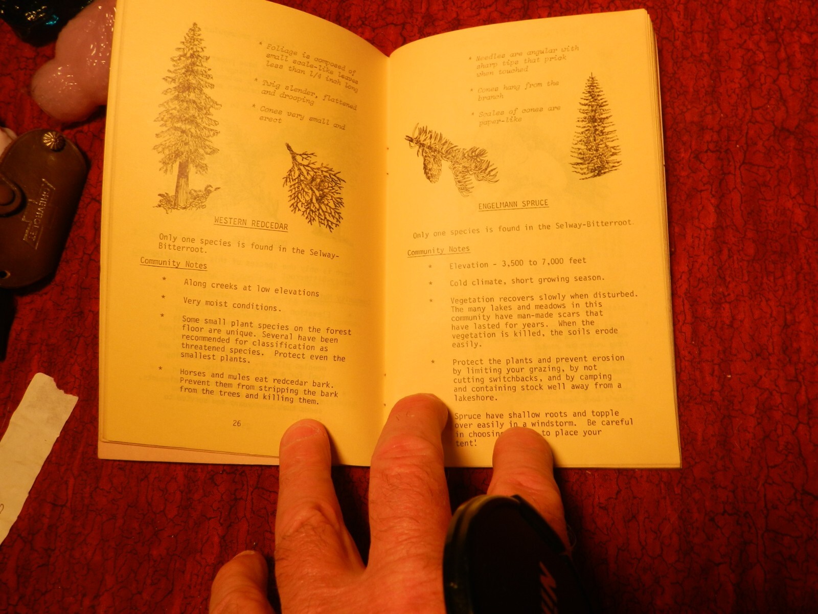 Vintage book Selway-Bitterroot wilderness primer 1964 89 pages