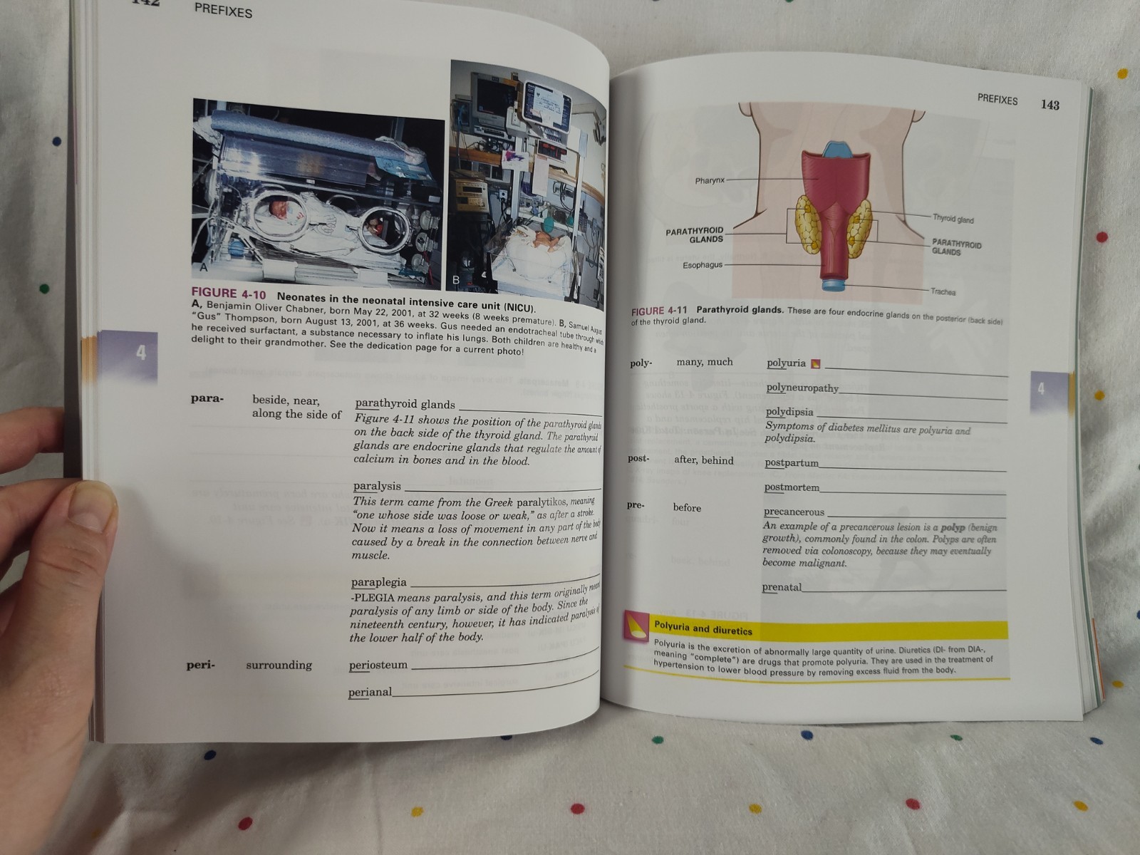 Medical Terminology A Short Course By Davi-Ellen Chabner 8th Edition ST46