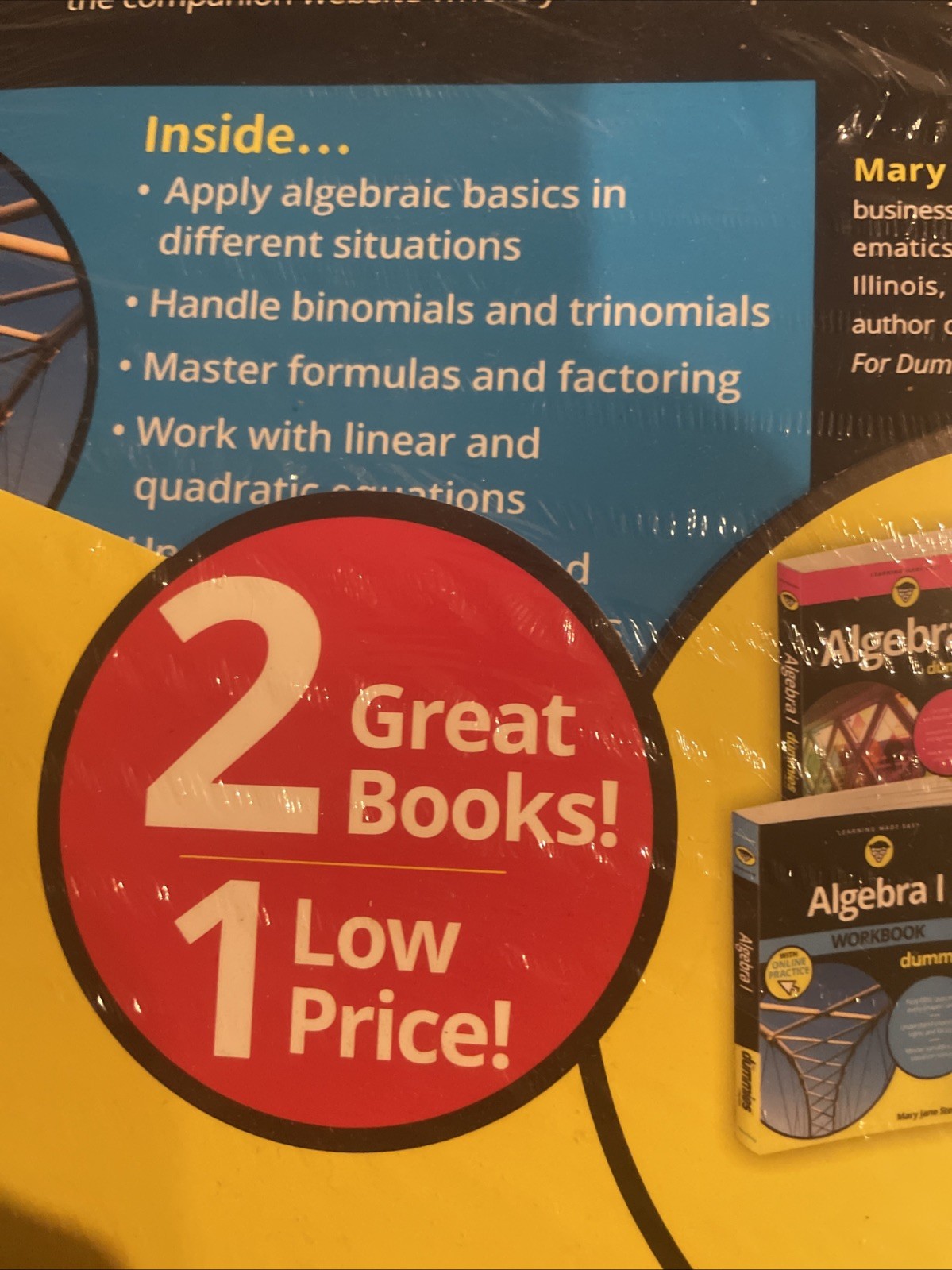 ALGEBRA 1 FOR DUMMIES AND ALGEBRA 1 WORKBOOK FOR DUMMIES BOOK SET