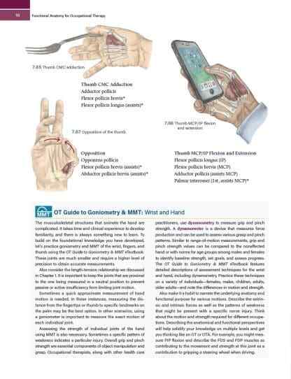 Functional Anatomy for Occupational Therapy – 1st Edition