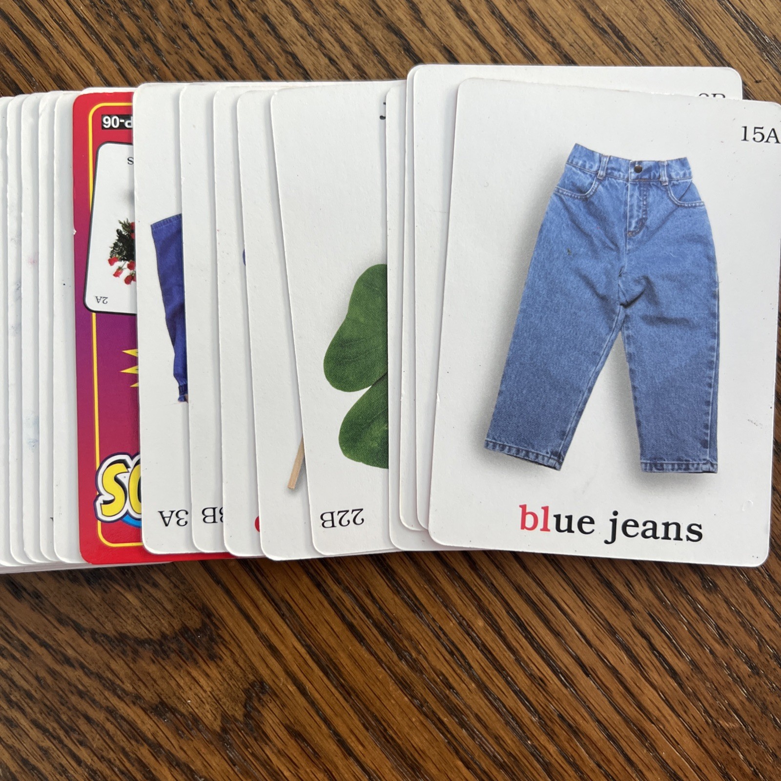 Artic Photos Fun Decks l Blends by Sharon Webber (2001, Cards,Flash Cards)