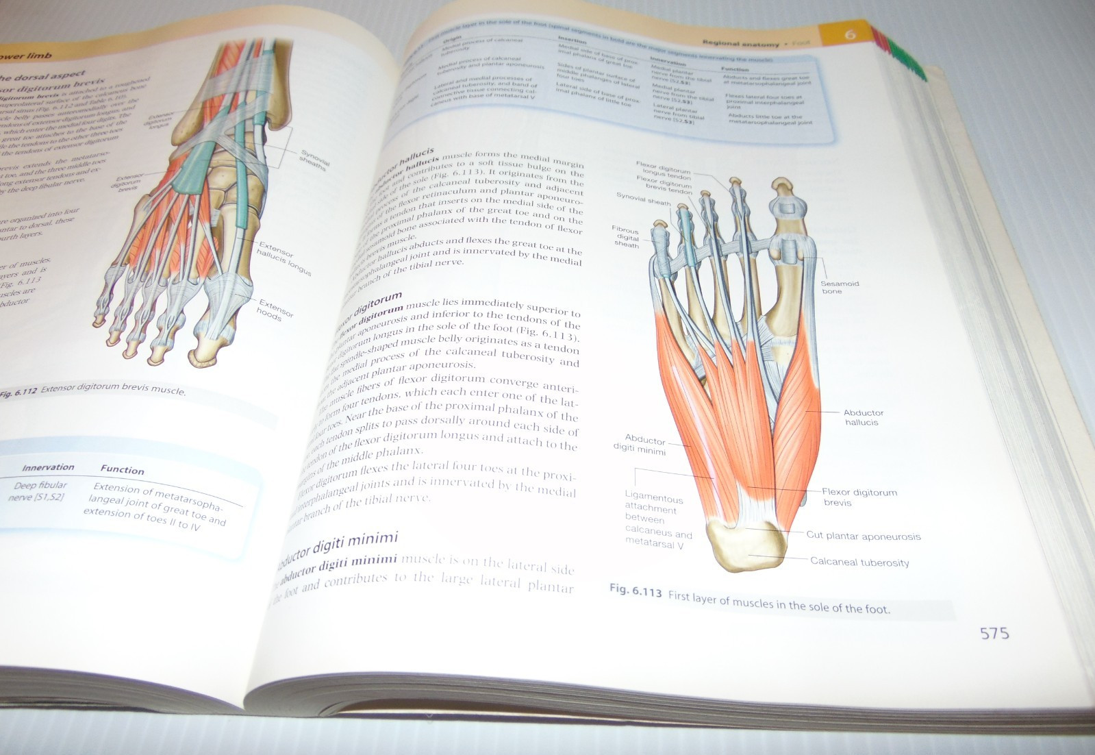 Gray’s Anatomy Ser.: Gray’s Anatomy for Students by Adam W. M. Mitchell, Richard